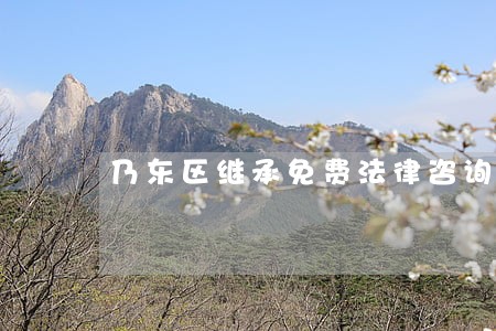 乃东区继承免费法律咨询 乃东区继承免费法律咨询