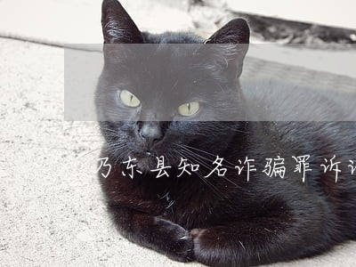 乃东县知名诈骗罪诉讼律师 乃东县知名诈骗罪诉讼律师