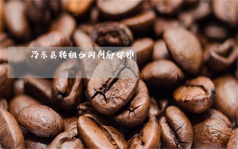 乃东县转租合同纠纷律师 乃东县转租合同纠纷律师