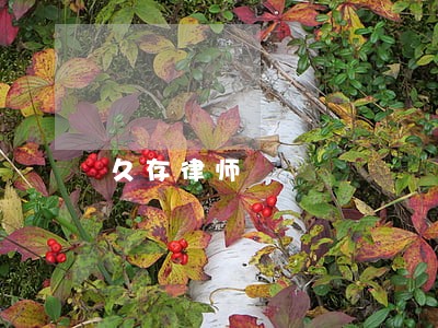 久存律师 久存律师