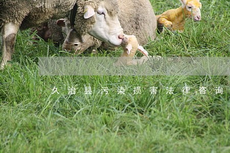 久治县污染损害法律咨询热线 久治县污染损害法律咨询热线