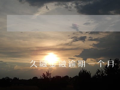 久融金融逾期一个月 久融金融逾期一个月
