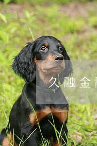 久融金融逾期三天 久融金融逾期三天