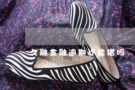 久融金融逾期还能借吗 久融金融逾期还能借吗