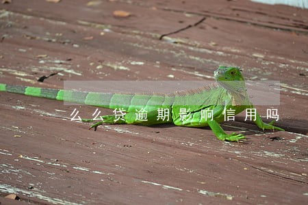 么么贷逾期影响信用吗 么么贷逾期影响信用吗