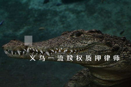 义乌一流股权质押律师 义乌一流股权质押律师