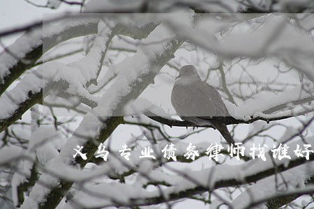 义乌专业债务律师找谁好