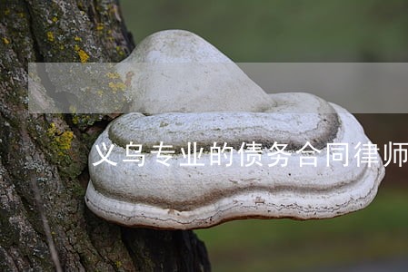 义乌专业的债务合同律师费用标准 义乌专业的债务合同律师费用标准