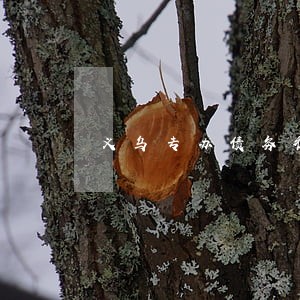 义乌专办债务律师费怎么算 义乌专办债务律师费怎么算