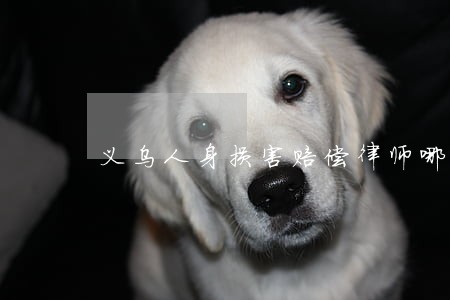 义乌人身损害赔偿律师哪个好 义乌人身损害赔偿律师哪个好