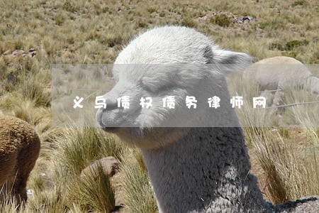 义乌债权债务律师网 义乌债权债务律师网