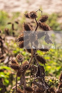 义乌刑事请律师 义乌刑事请律师