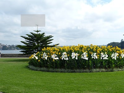 义乌北苑街道保险律师 义乌北苑街道保险律师