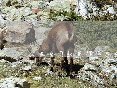 义乌合同起草律师在线咨询 义乌合同起草律师在线咨询
