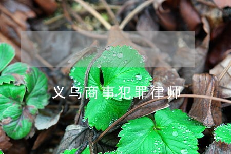 义乌商事犯罪律师