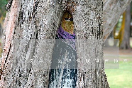 义乌地区取保候审律师找哪个 义乌地区取保候审律师找哪个