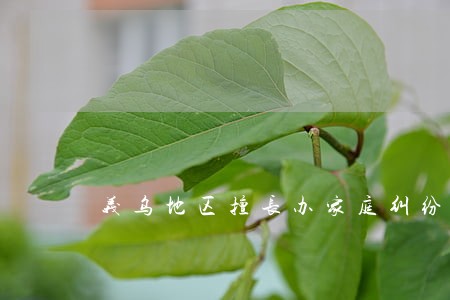 义乌地区擅长办家庭纠纷律师排行