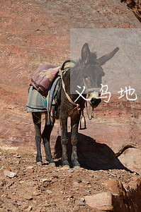 义乌地区评价好的离婚案律师找谁 义乌地区评价好的离婚案律师找谁