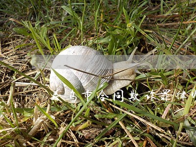 义乌市合同欺诈罪律师推荐 义乌市合同欺诈罪律师推荐