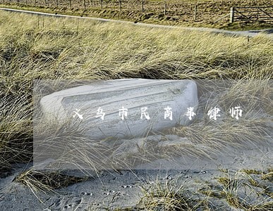 义乌市民商事律师 义乌市民商事律师