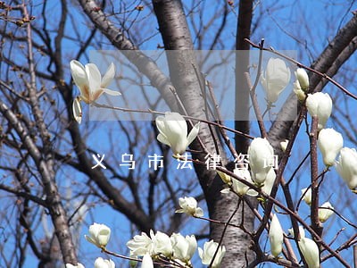 义乌市法律咨询 义乌市法律咨询