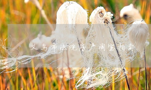 义乌市法院房产淘宝拍卖