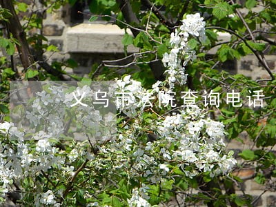 义乌市法院查询电话 义乌市法院查询电话