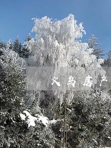 义乌房产法律律师 义乌房产法律律师