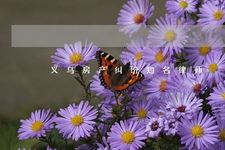 义乌房产纠纷知名律师 义乌房产纠纷知名律师