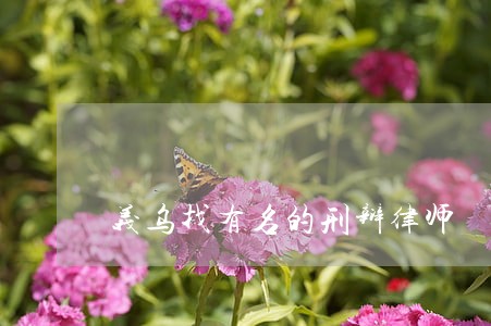 义乌找有名的刑辩律师 义乌找有名的刑辩律师