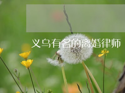 义乌有名的离婚律师 义乌有名的离婚律师