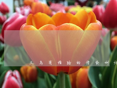 义乌有经验的借贷纠纷律师 义乌有经验的借贷纠纷律师