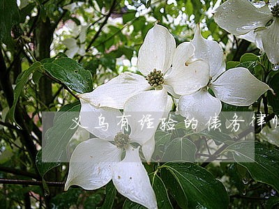 义乌有经验的债务律师委托收费 义乌有经验的债务律师委托收费
