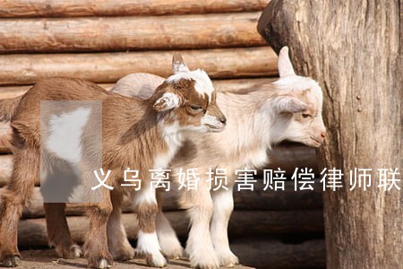 义乌离婚损害赔偿律师联系方式
