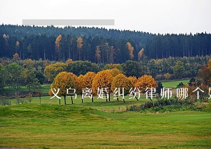 义乌离婚纠纷律师哪个好 义乌离婚纠纷律师哪个好