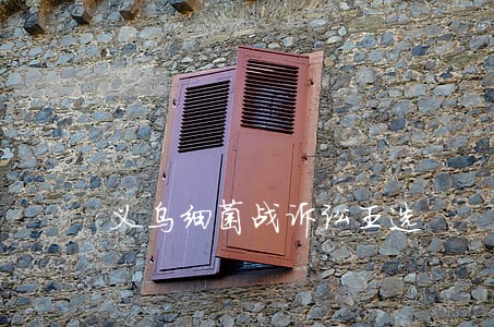 义乌细菌战诉讼王选 义乌细菌战诉讼王选