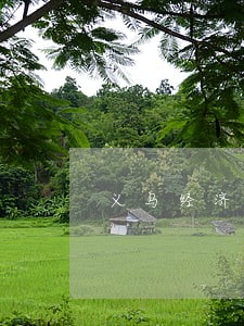 义乌经济合同律师哪里找 义乌经济合同律师哪里找