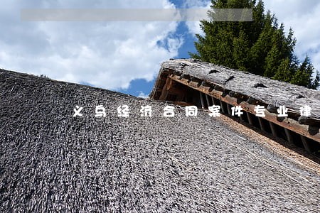 义乌经济合同案件专业律师 义乌经济合同案件专业律师