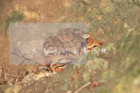 义乌计划生育法规 义乌计划生育法规