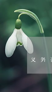 义务咨询律师 义务咨询律师