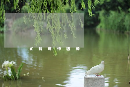 义务律师咨询