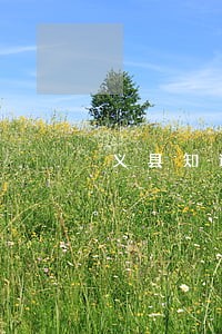 义县知识产权法律风险评估 义县知识产权法律风险评估