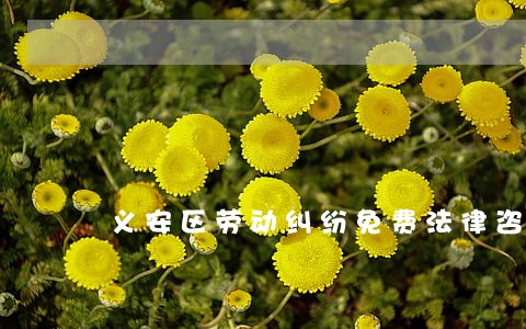 义安区劳动纠纷免费法律咨询热线