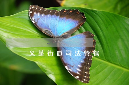 义蓬街道司法管辖