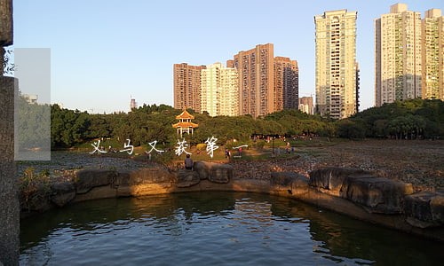 义马又获第一