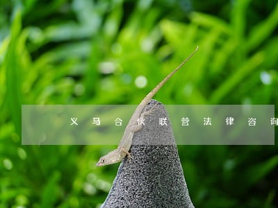 义马合伙联营法律咨询律师 义马合伙联营法律咨询律师