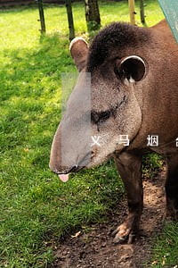 义马烟台律师厂家批发价格 义马烟台律师厂家批发价格