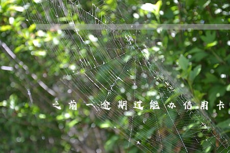 之前一逾期过能办信用卡吗