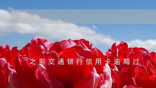 之前交通银行信用卡逾期过