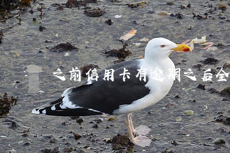 之前信用卡有逾期之后全部还完了 之前信用卡有逾期之后全部还完了